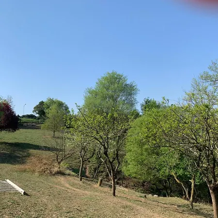 Villa Villa Isidoro Ampio Parco Piscina Privata, Arte E Giochi Fitness Verona