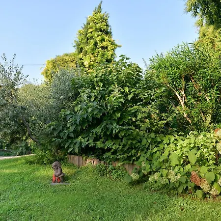 Villa Isidoro Ampio Parco Piscina Privata, Arte E Giochi Fitness *