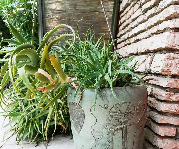 Isidoro Ampio Parco ,piscina Privata, Arte E Giochi , Fitness * Verona