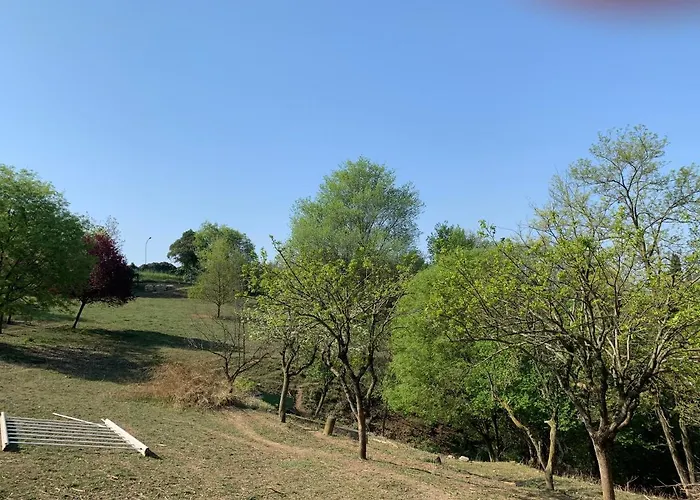 Villa Isidoro Ampio Parco ,piscina Privata, Arte E Giochi , Fitness Verona