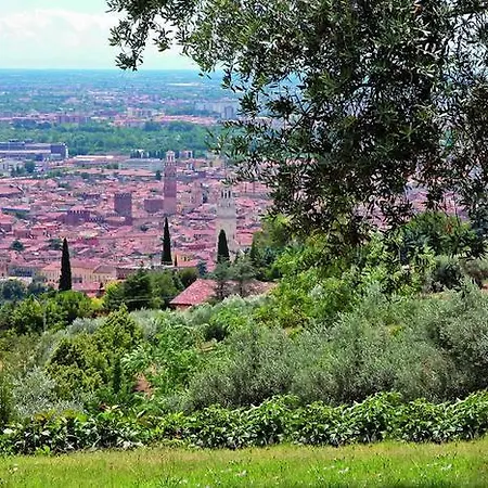 Villa Isidoro Ampio Parco ,Piscina Privata, Arte E Giochi , Fitness Villa